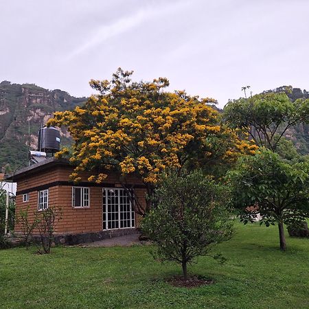 Posada Meztitla Hotel Tepoztlán Exterior photo