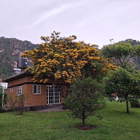 Posada Meztitla Tepoztlán Exterior photo