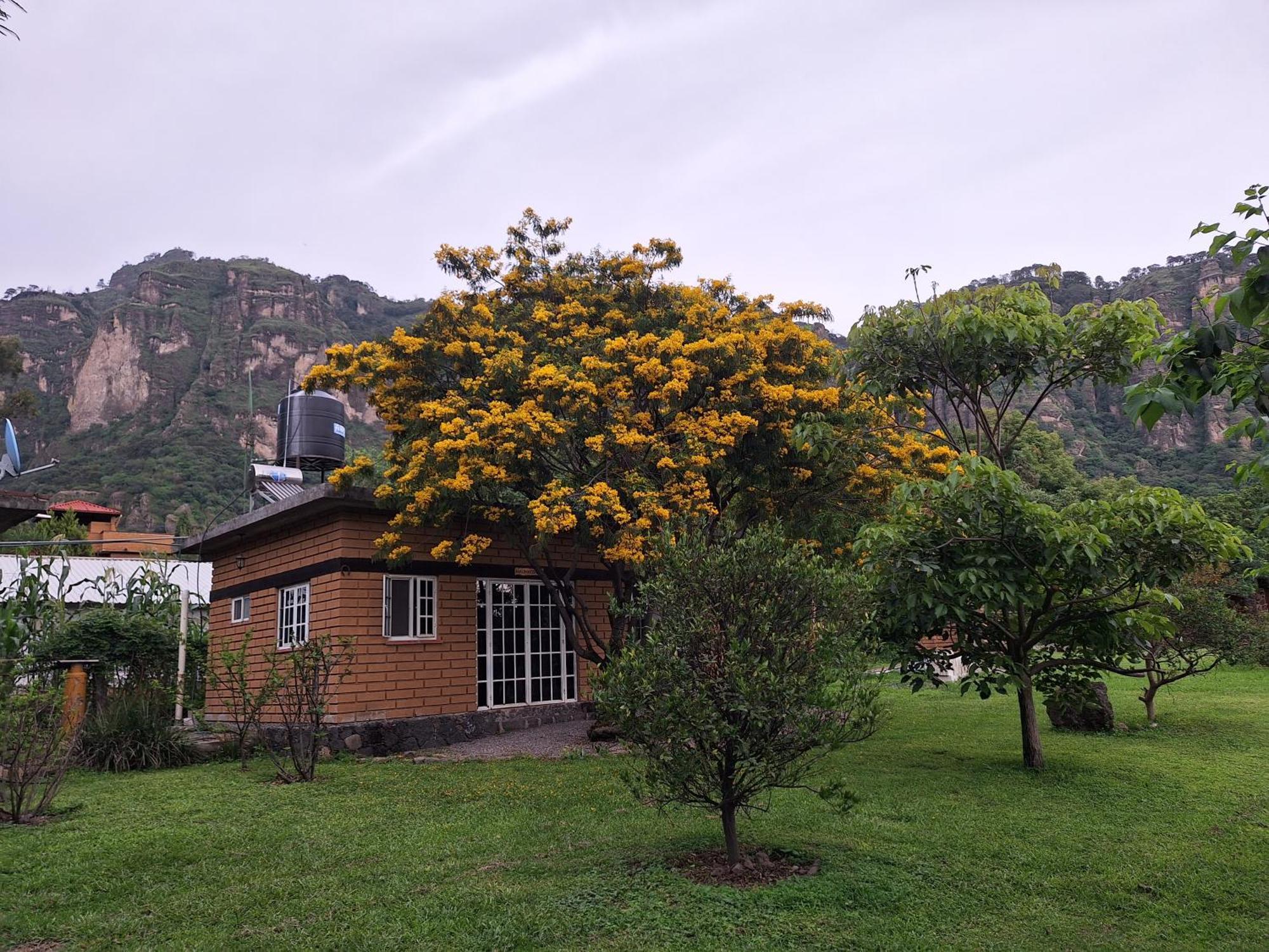 Posada Meztitla Hotel Tepoztlán Exterior photo